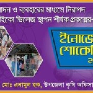 রাজশাহী বিভাগীয় ইনোভেশন শোকেসিং - ২০১৯